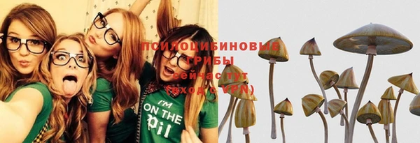 PSILOCYBIN Кукмор