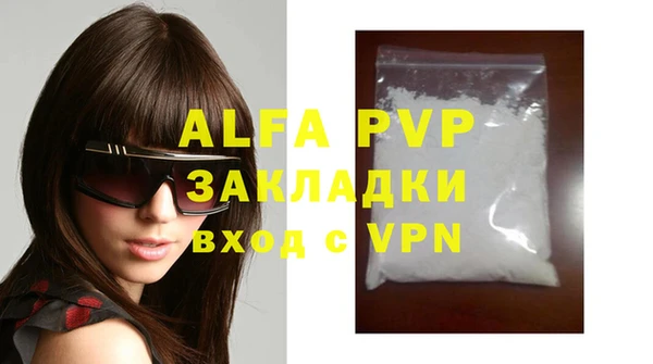 PSILOCYBIN Кукмор