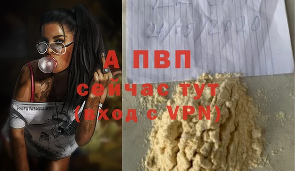 PSILOCYBIN Кукмор
