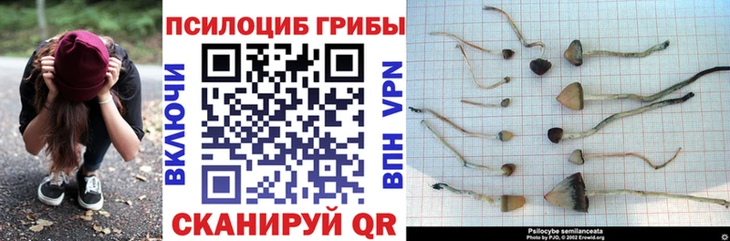 Псилоцибиновые грибы MAGIC MUSHROOMS  Сатка 