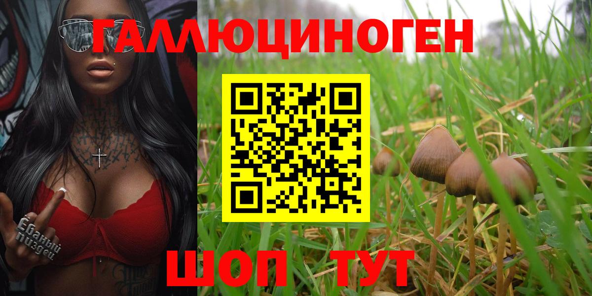 Псилоцибиновые грибы мицелий  Вход с VPN  Сатка 
